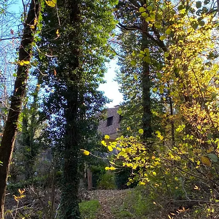 Appartement La Casa Nel Bosco, Di Mari