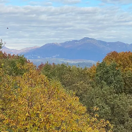 La Casa Nel Bosco, Di Mari Appiano Gentile